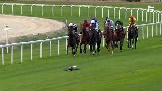 Vidéo de la course PMU PRIX PANACEE