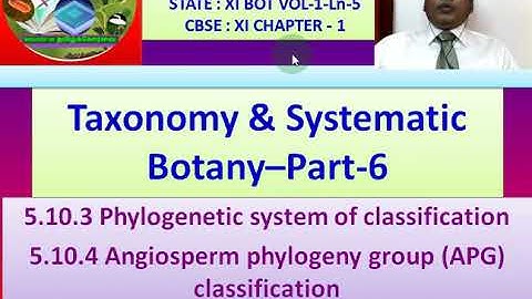 V-090-QP-038 - XI - BOTANY -  EM - Taxonomy and Systematic Botany – 6 for  NEET - +1 & +2 - TRB