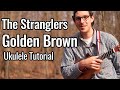 Golden Brown (Ukulele Tutorial) - The Stranglers