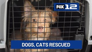 OHS takes in 21 pets from second animal neglect case in Lake County