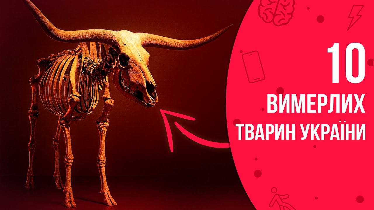 10 Тварин України, Які ВИМЕРЛИ На Наших Очах! | Факти Кличуть
