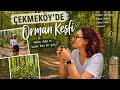 Çekmeköy’de Orman Keşfi 🌿 Kahve Molası ve Doğa Yürüyüşü Vlogu