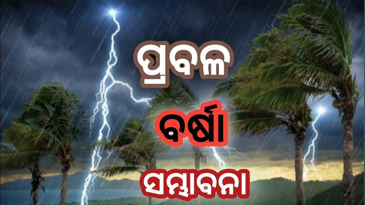Odisha Panipaga Update//Odisha Laghuchapa Update//Odisha Cyclone Update // Odisha weather update//