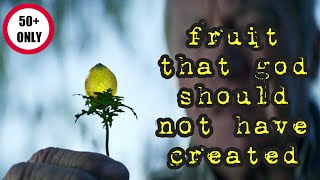 the forbidden magic fruit -  EP 1