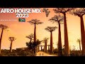 Afro House Mix January 2023 ft Black Coffee | Toshi | Dacapo | Eno Napa | Lana Del Rey
