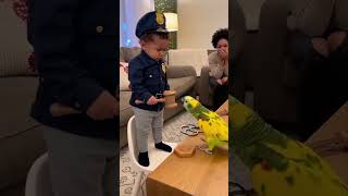 Tiny Cop Puts Parrot on Trial for Cookie Theft 😂👮♂️🦜 Follow Parrot Comedy Hub page for more Fun
