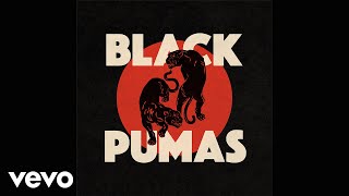 Video thumbnail of "Black Pumas - Touch The Sky (Official Audio)"