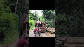 it's so difficult to make big wood #loadingwood