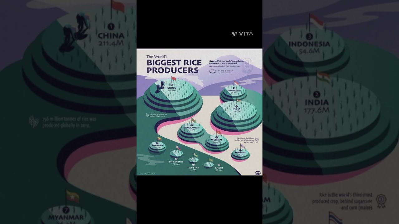 world's biggest rice producer's 