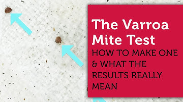 EASY VARROA MITE TEST Using Rubbing Alcohol - Step-By-Step Guide