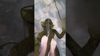 Bazen Ayağının Ucundadır Farkına Varamassın