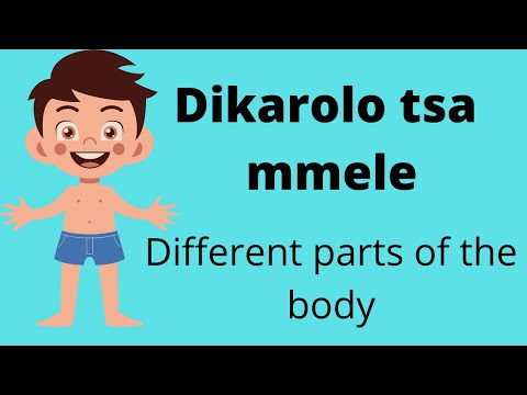 Body parts in Setswana - Dikarolo tsa mmele ka puo ya Setswana