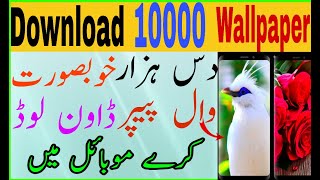 Download 10000 Nature Wallpaper In Andriod Mobile|| Khoobsorat Wallpaper Download Kray mobile ke lye screenshot 5
