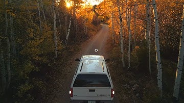FALL COLORS ROAD TRIP THROUGH NEVADA - 4K DRONE VIDEO
