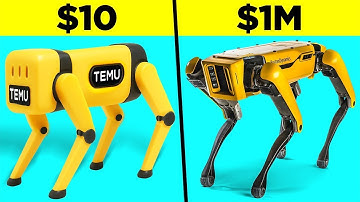 $10 Vs $1,000,000 Robot
