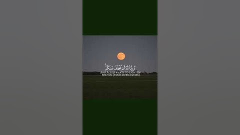 سورة النساء (من الآية ٢٧ إلى الآية ٢٩) القارئ الشيخ: محمد اللحيدان