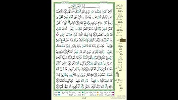 الصفحة ٥٠٧ من القرآن الكريم...القارئ د.بريك سعد بريك