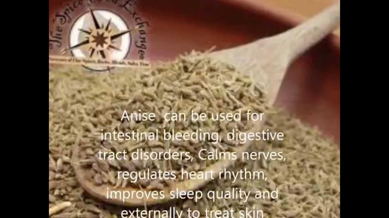 Anise Benefits And Side Effects, Medical Herbs in Egypt YouTube