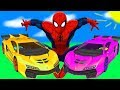卡通彩色汽车，蜘蛛侠和超级英雄视频为儿童，学习颜色，孩子们的动画