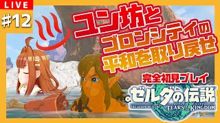 【 ＃ゼルダの伝説TotK 】＃12 完全初見　ユン坊とゴロンシティの平和を取り戻せ！💥💥【2人組Vtuber/むむてて/JapaneseVtuber】ティアーズ オブ ザ キングダム