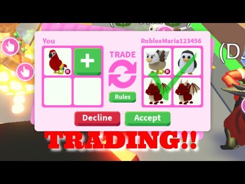 What People Trade For Ride Neon Parrot Roblox Adopt Me Youtube - adopt me making a neon parrotroblox watchs