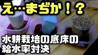 【水耕栽培大学】水耕栽培の底床素材、吸水率No.1は君だ！！驚愕の結果に…
