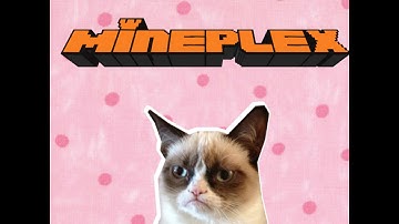 Mineplex arcade | force-field of protection| 1