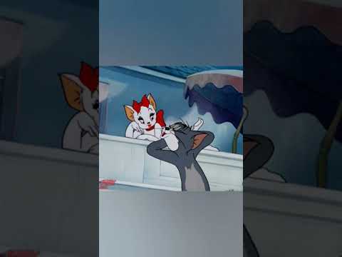 Tom And Jerry Tom Love Tomandjerry