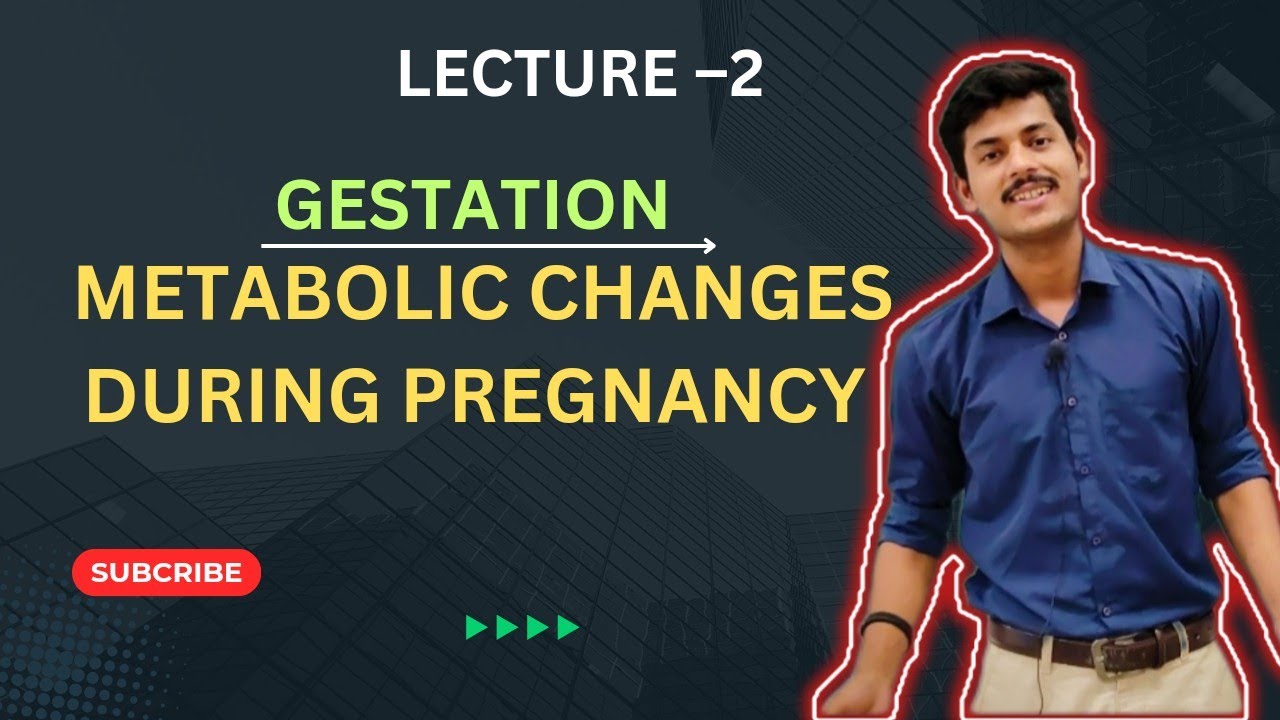 Gestation - 2 | Metabolic changes during pregnancy - YouTube