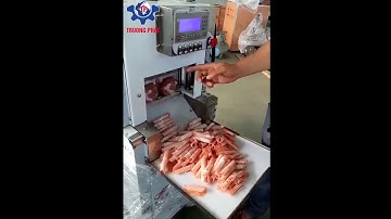 Máy thái thịt đông lạnh công nghiệp 2 cuộn RW-02