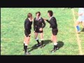 Les Fous Du Stade Les Fous Du Stade