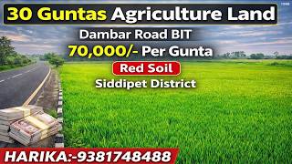 Agriculture Land For Sale Bt Dambar Road Bit 70,000- Per Gunta 30 Guntas
