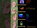Lungs Brainpower Memory Youtubeshorts Shorts Viralvideo Mudra Foryou Motivation Yoga Lungs Brainpower Memory Youtubeshorts Shorts Viralvideo Mudra Foryou Motivation Yoga