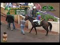 CBY Cash Caravan Stakes 8 12 12