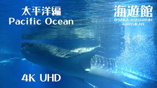 【水族館】海遊館  太平洋編 ジンベエザメが悠々泳ぐ大水槽 【4K】RF24-105㎜ F4 L IS USM