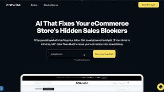 CROwise - AI-powered Conversion Optimization for Ecommerce Websites