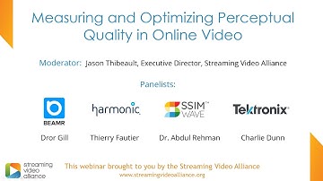 Measuring and Optimizing Perceptual Quality in Online Video