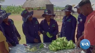 Zimbabwean agripreneur empowers local communities, addresses food shortages