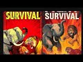 Animal And Battle of Survival