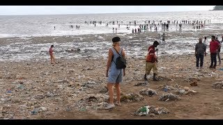 89. Пляж Мумбая утопает в мусоре. Я такого еще не видела... Массаж для мужа. Индия. 89. Пляж Мумбая утопает в мусоре. Я такого еще не видела... Массаж для мужа. Индия.
