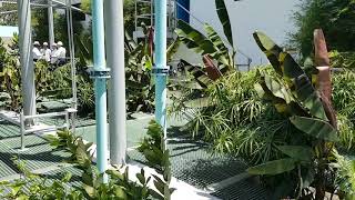 Walk through an Organica facility in the Philippines
