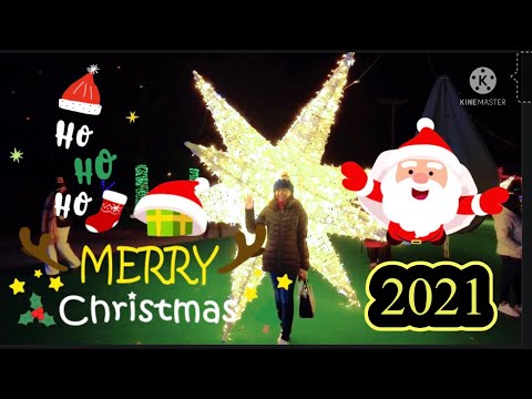 วีดีโอ: กิจกรรมน่าสนใจสำหรับคริสต์มาสในลีส์เบิร์ก รัฐเวอร์จิเนีย