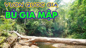 Rừng quốc gia Bù Gia Mập - tháng 3/2021 - Một góc nhìn khác.