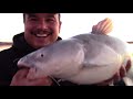Dragging For Reservoir Blue Catfish-Fishing For Catfish-How to Catch Lake Catfish