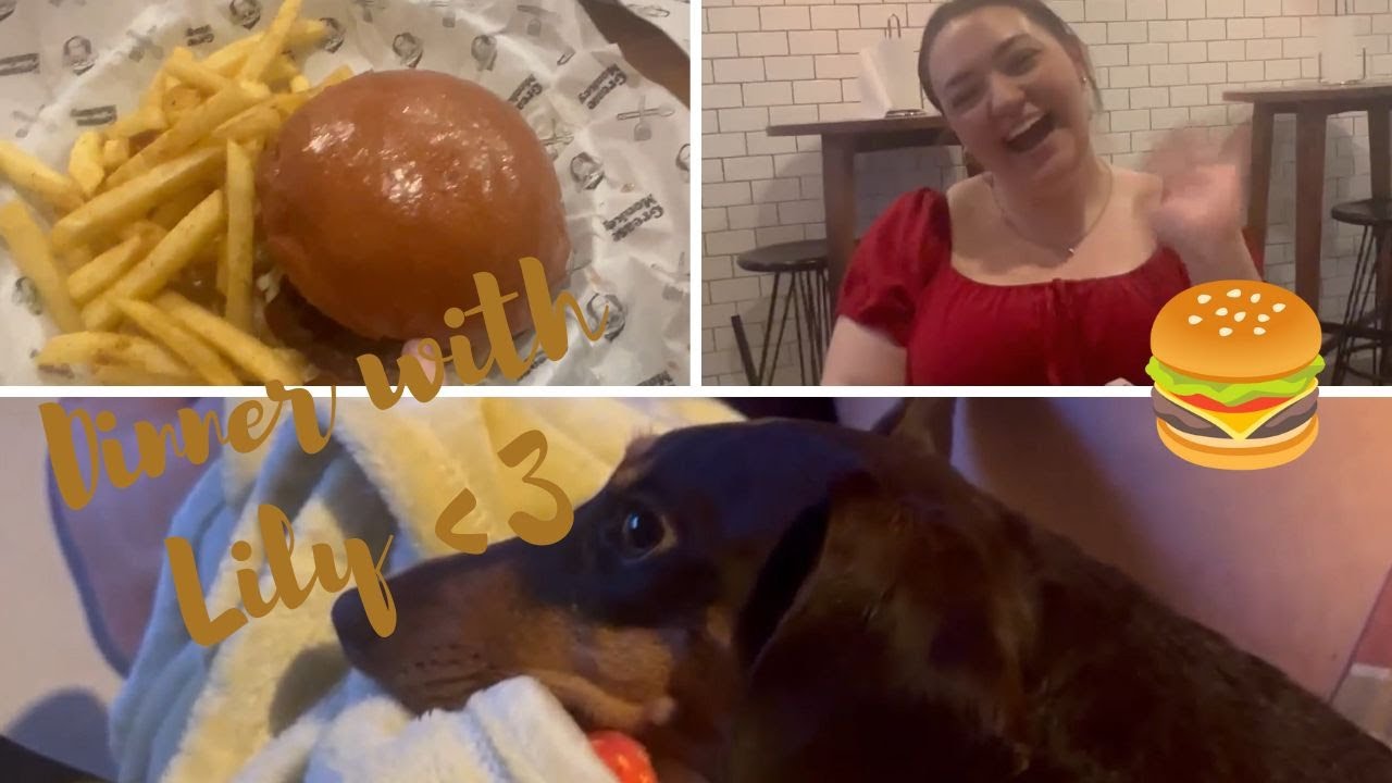 DINNER WITH LILY AND GAMING|VLOGMAS DAY 6 & 7