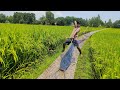 😲Natural Bamboo Crossbow Fishing In Water Drain | Big Fish Catching With Bamboo Tools Arrow Bow