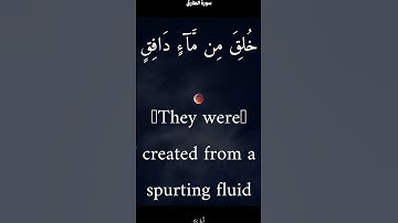 سورة الطارق من الأية 1 الى 14 ياسر الدوسري