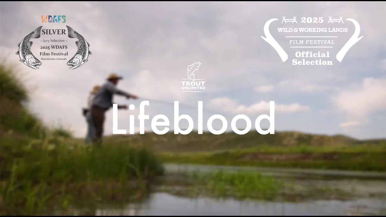 Lifeblood | Muddy Creek’s Revival