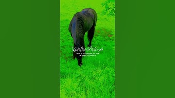 سورة البقرة #قران_كريم #اكسبلور #الرحمن #music #دويتو #المصحف #duet #المراه #تيك_توك #اعتني