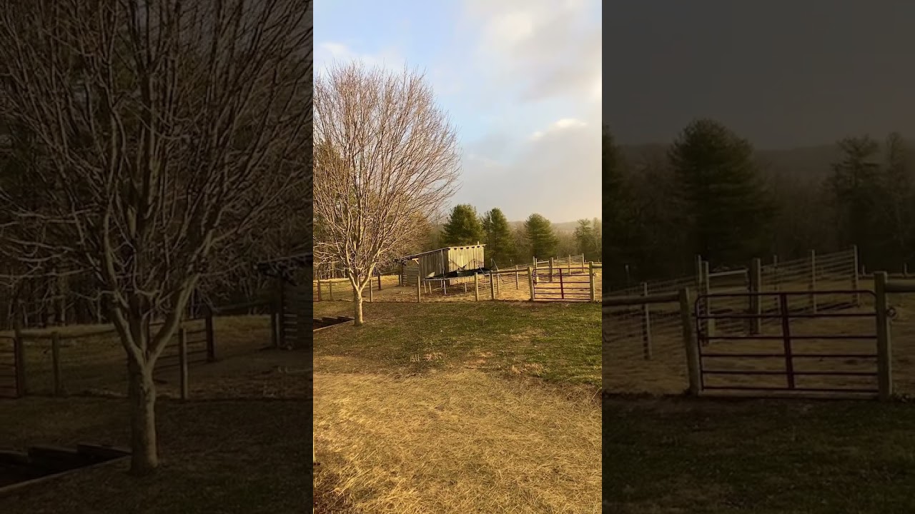 Damage from high winds 